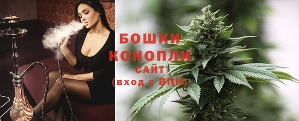 гашик Заволжье