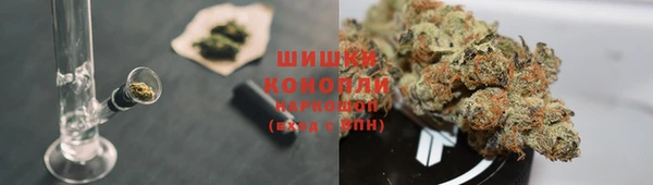 гашик Заволжье