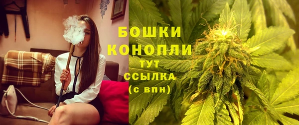 стафф Зеленокумск
