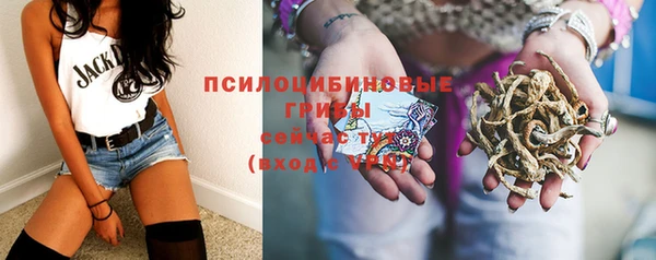 гашик Заволжье