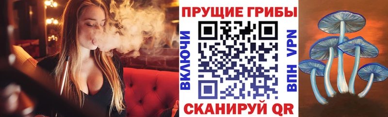 Купить закладки  Усинск  Галлюциногенные грибы Psilocybe 